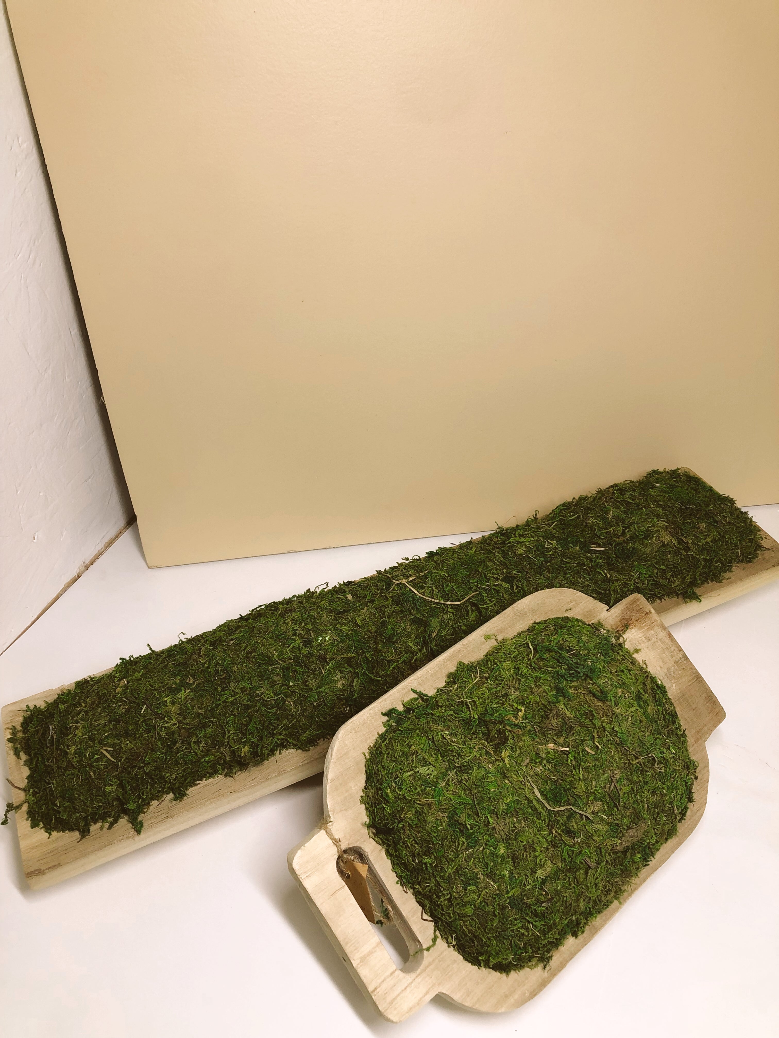 Small Moss Tray – Baxter Flowers and Gifts